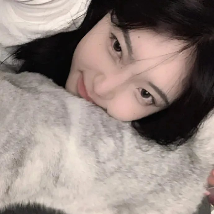 莉莉小姐的超完美日记